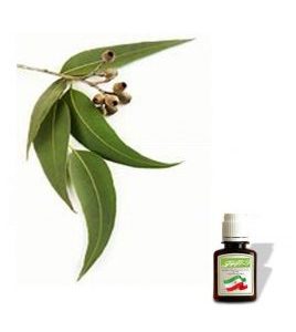 روغن گیاهی اکالیپتوس