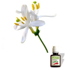 روغن یاس