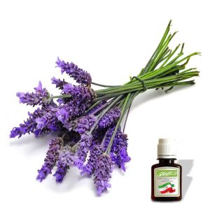 روغن اسطوخودوس وارداتی