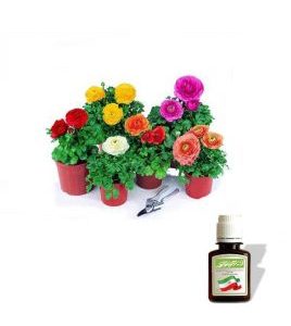 روغن آلاله
